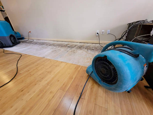 Professional Basement Flood Cleanup technician working in Woodburn, OR
